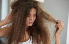 Damaged Hair