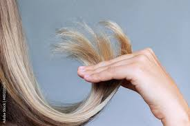 Split Ends