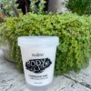 Nuspa Exfoliating Body Scrub