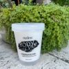 Nuspa Exfoliating Body Scrub